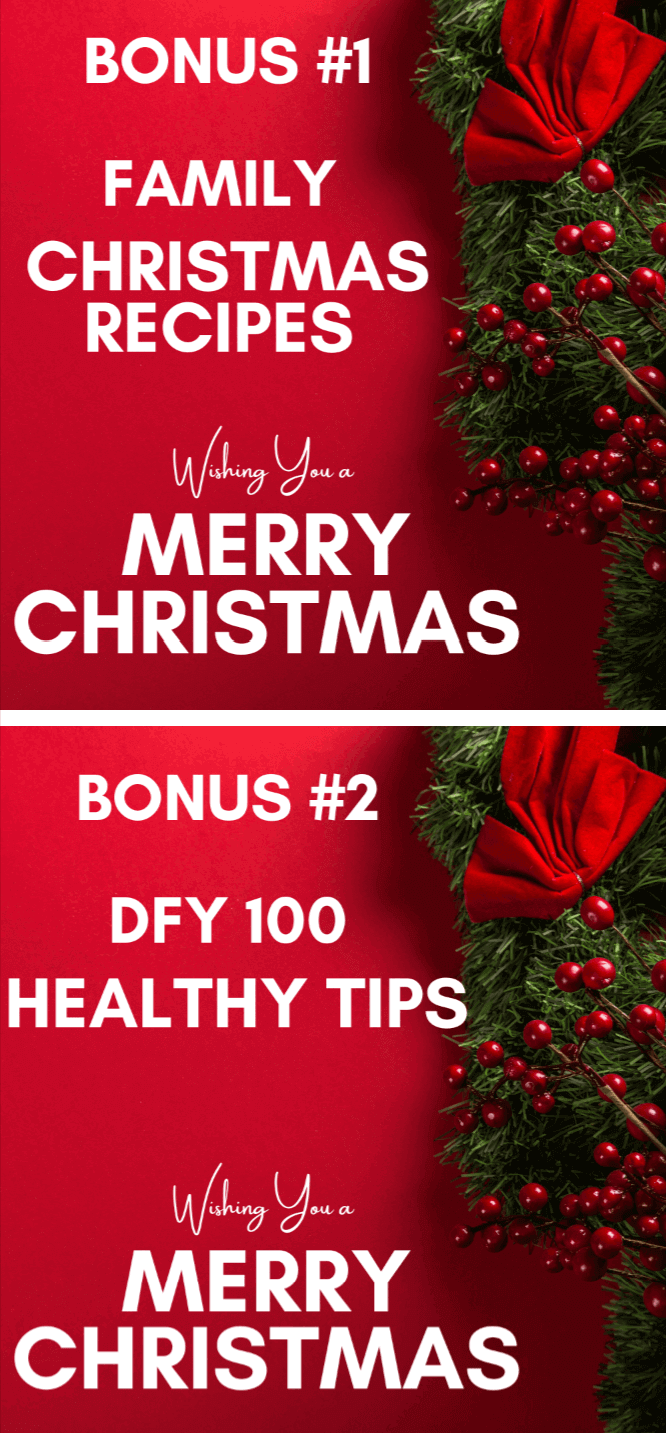 DFY-100-Christmas-Recipes-Bonuses.
